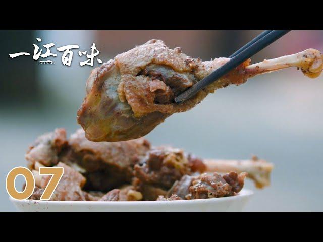 【一江百味】第7集：邵阳 铜鹅与泥鳅 | 腾讯视频 - 纪录片