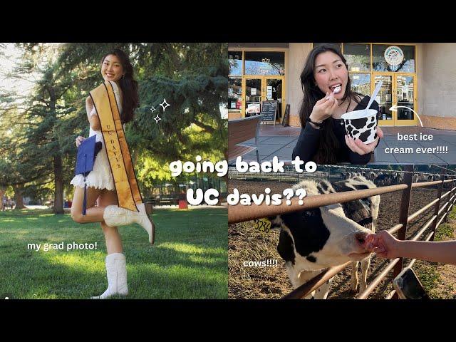 what it's like back at UC Davis! I Hannah Cho 