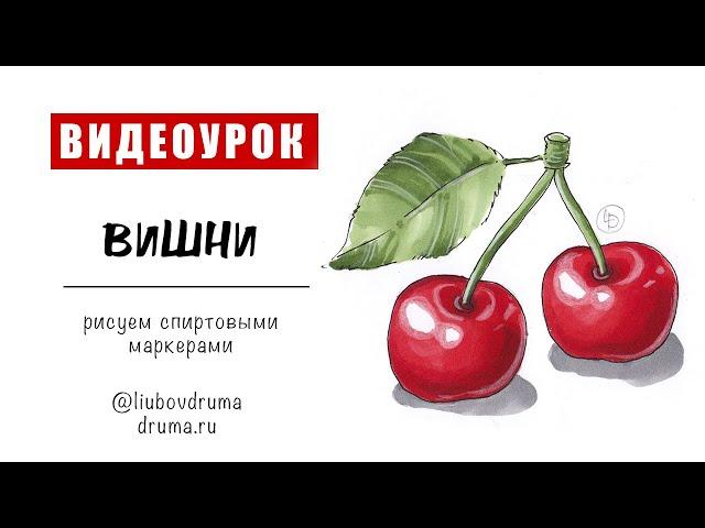 ВИШНЯ / рисуем спиртовыми маркерами