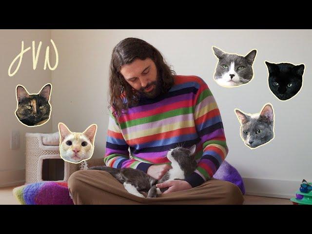 JVN At Home: Meet My Cats