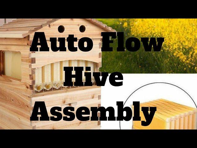 Auto Flow Hive Assembly - Beginner Bee Keeping Series - How to Get Started