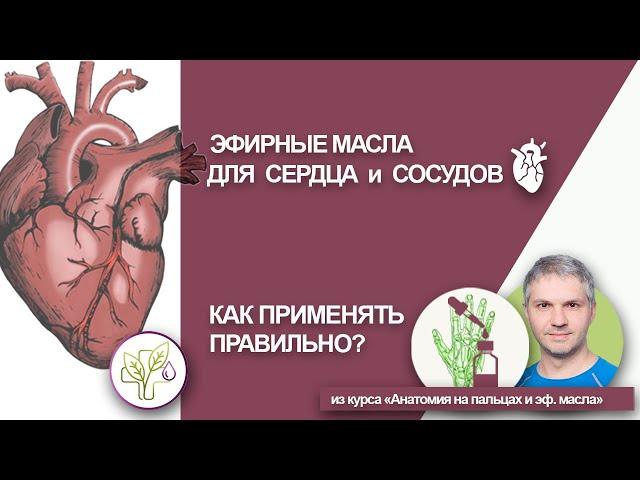 Ароматерапия для сердца - как правильно использовать эфирные масла для сердечно-сосудистой системы