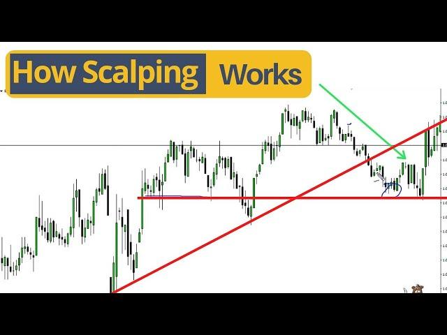 Learn Scalping Trading with Proper Target and Stoploss in Live Market | #shorts #stockmarket #nifty