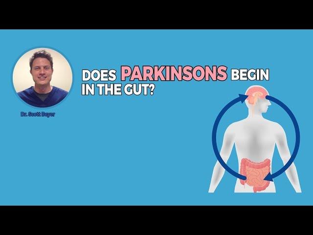 Does Parkinson's Begin in The Gut?