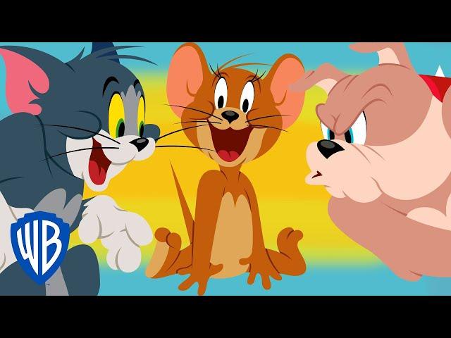 Tom & Jerry | Tom VS Spike Compilation | WB Kids