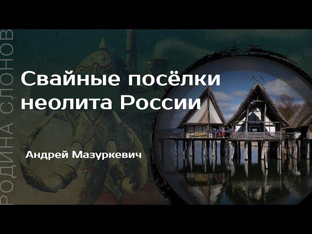 Свайные посёлки неолита России. Андрей Мазуркевич. Родина слонов №297