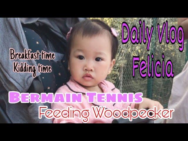 Aktivitas Felicia dirumah ikut main tenis - Felicia's activities at home are playing tennis