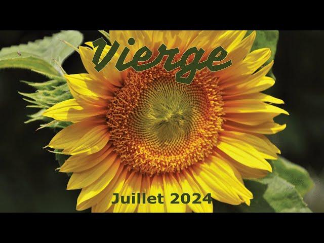 VIERGE - juillet 2024 ~ Vous méritez cette transformation !!