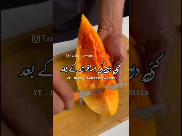 Hazrat Belal Ki Azan Sunkar || Islamic Status Videos || Tasleema Writes