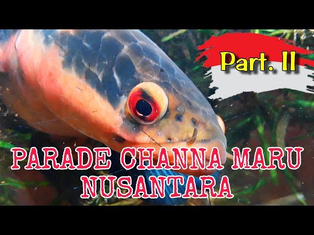 Parade Channa Maru Nusantara - Part 2