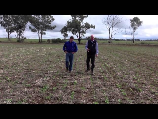 Farmers talk about the Water Use Efficiency Project