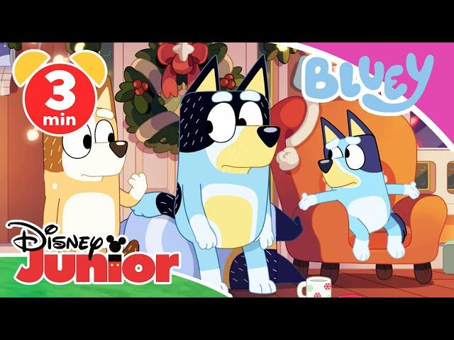  Bluey - Clip: Der Veranda-Mann | Disney Junior