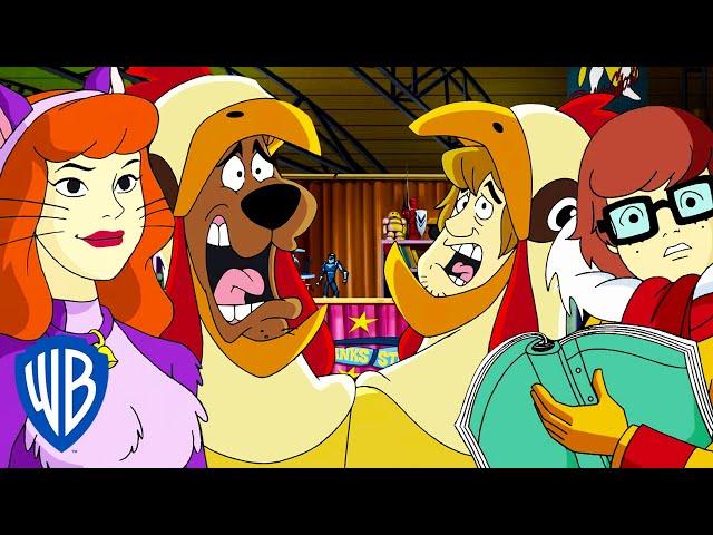 Scooby-Doo! | Scooby Dooby Slay! | WB Kids