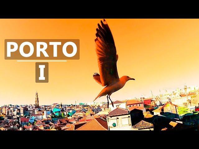 PORTO what to see in porto | Porto Portugal