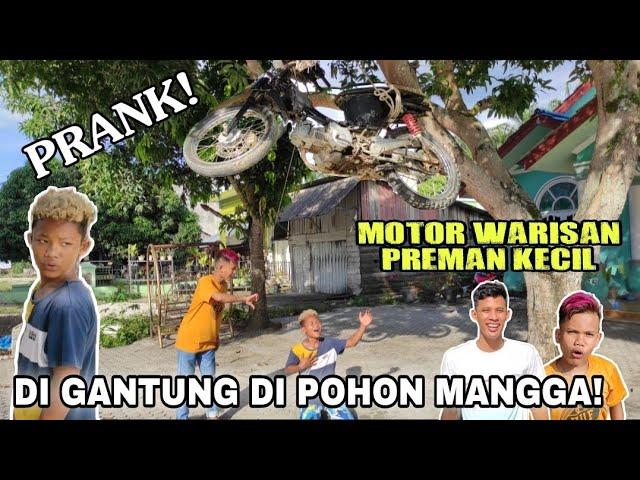 Prank! Gantung Motor Warisan Preman Kecil Di pohon Mangga!