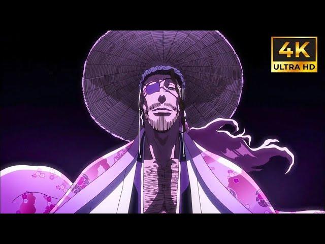 Shunsui Kyoraku Bankai 4K (English Sub) - Bleach Thousand Year Blood War Part 3