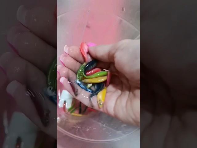 Горсть рыбок данио  #аквариум #рыбки #барбусы #анциструс #скалярии #моллинезия