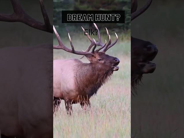 What’s your dream hunt? #deerhunting #dreamhunt #moose #elk