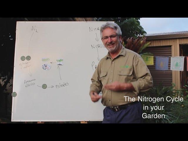 Nutrients in the Garden - The Nitrogen Cycle