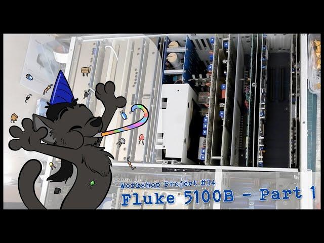 Fluke 5100B - Part 1