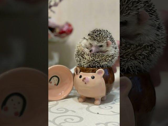 Кружка ручной работы от Emotion ceramics мастерской керамики ручной работы