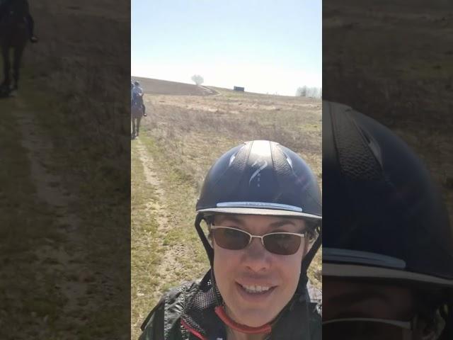 приглашаем вас на конные прогулки #постойлошадей