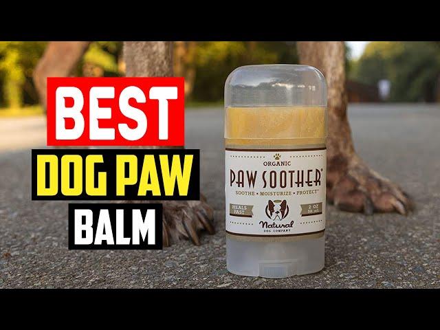 Best dog paw balm in 2023