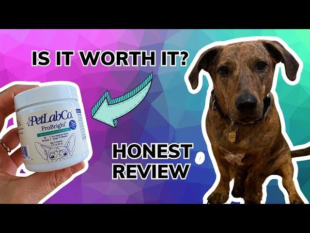 PetLab Co. ProBright Dental Powder | Is it Worth it?