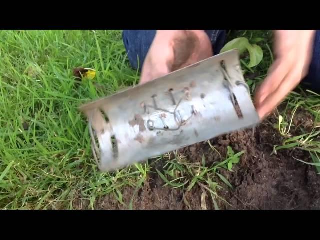 How to catch a mole in a duffus trap