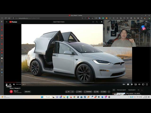 Tesla X Falcon Door Origin?