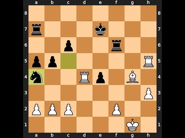 Ilya Rabinovich-Nikolay Pavlov Pianov, Soviet Championship 1920, Result: 1-0