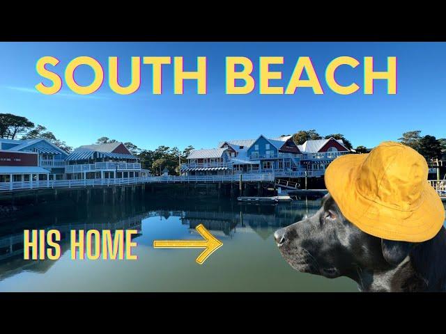 SOUTH BEACH MARINA - Home of the Salty Dog Cafe, Tower  Beach, and magnificent ocean views!!