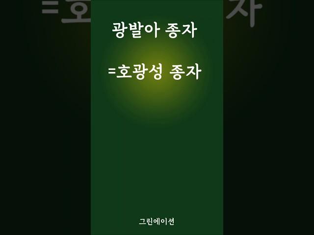 광발아종자 호광성종자의 종류