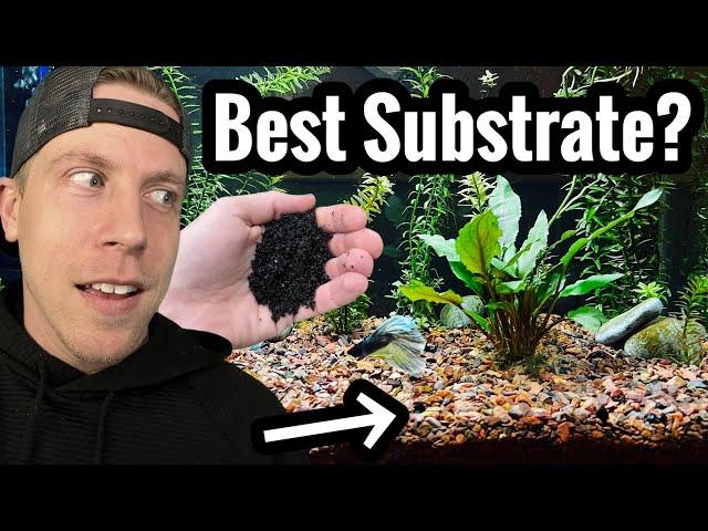 Top 5 Best Planted Tank Substrates for Live Plants