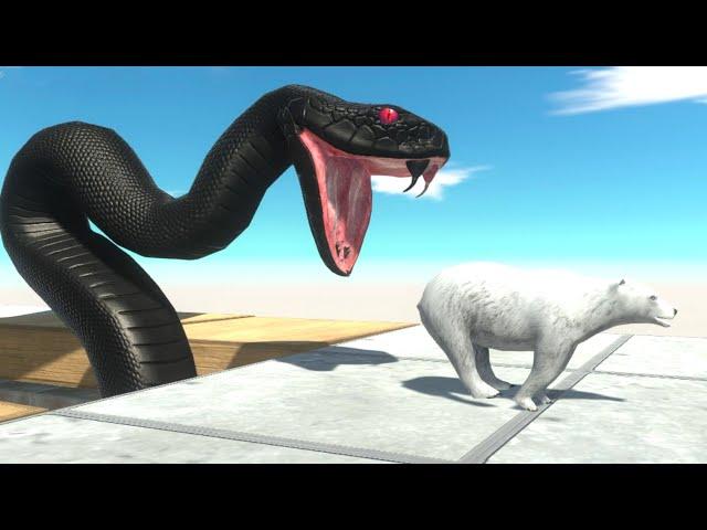 Who Can Escape From The Black Mamba? ► Animal Revolt Battle Simulator