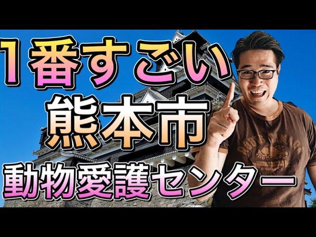 【殺処分ゼロへの道】 熊本市動物愛護センターの軌跡