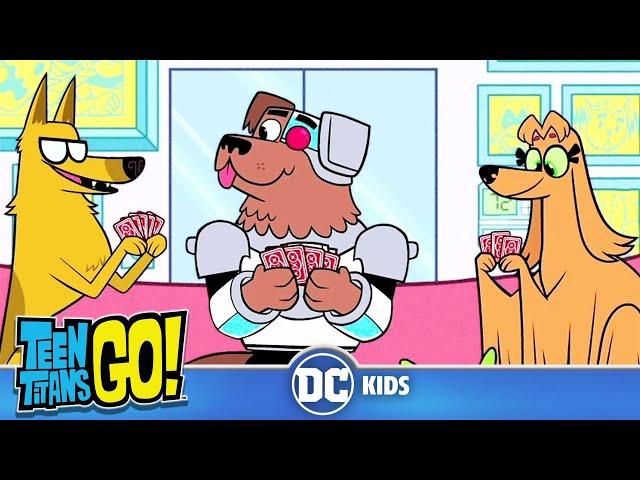 Teen Titans Go! | Animals Alive Part II | @dckids