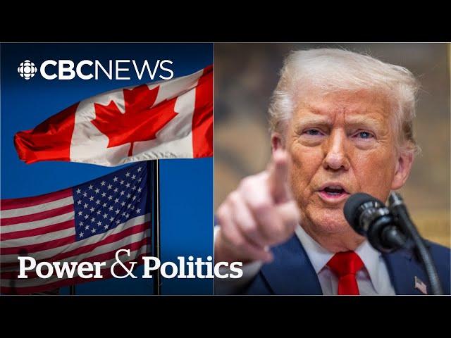 'Lawless rampage': U.S. Democrats speak out against Trump tariffs | Power & Politics