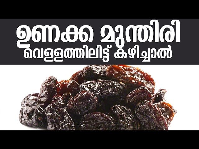 ഉണക്ക മുന്തിരി വെള്ളത്തിലിട്ട് കഴിച്ചാൽ | latest malayalam health tips