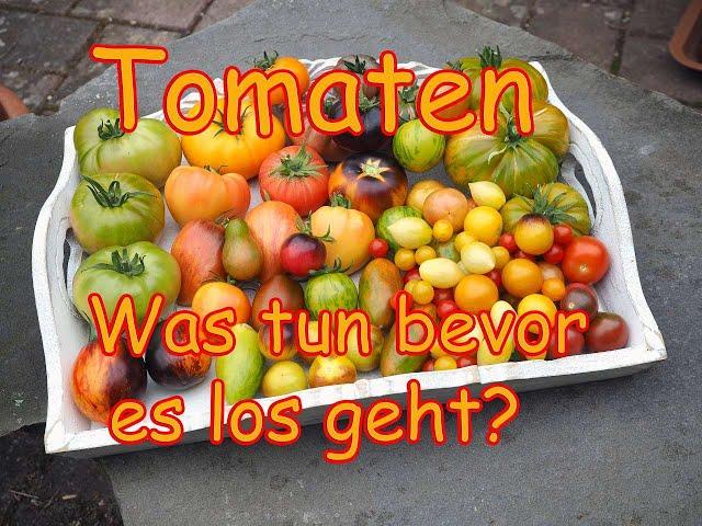 Tomaten Anbau Guide 04 - Was man vor dem säen erledigen sollte!