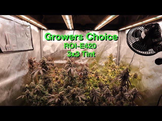 Growers Choice ROI-E420