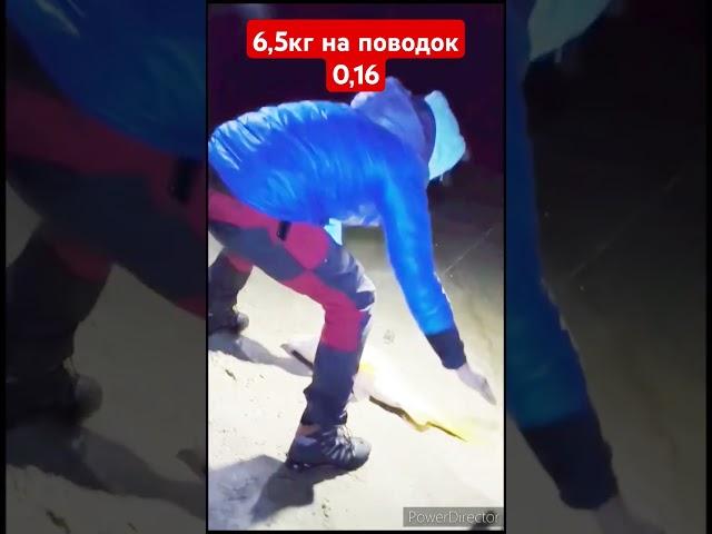Сазан на фидер. Онлайн, поводок 0,16.