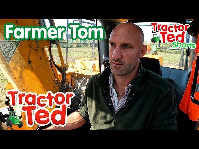 Let's Look At Farmer Tom On Father's Day ‍ | Tractor Ted Shorts | Tractor Ted Official Channel