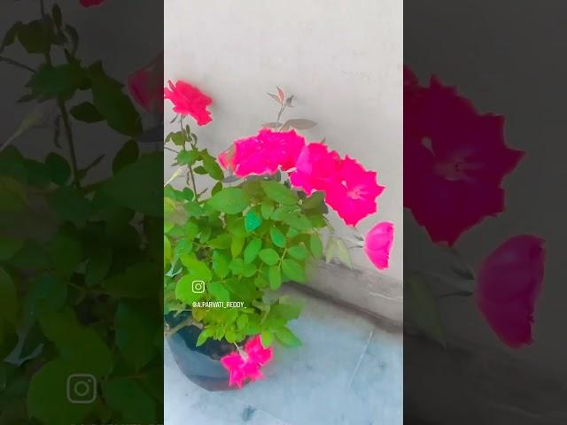 subscribe Meghana And Gaurav Channel (2)