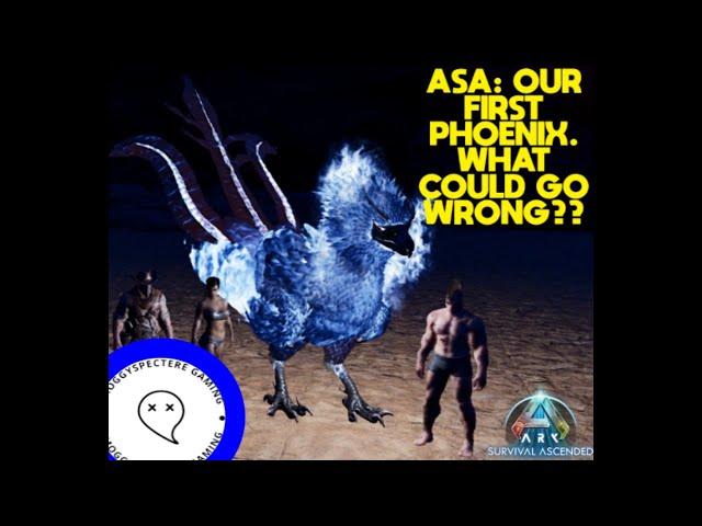 ASA: Our First Phoenix Tame -  What could go Wrong??