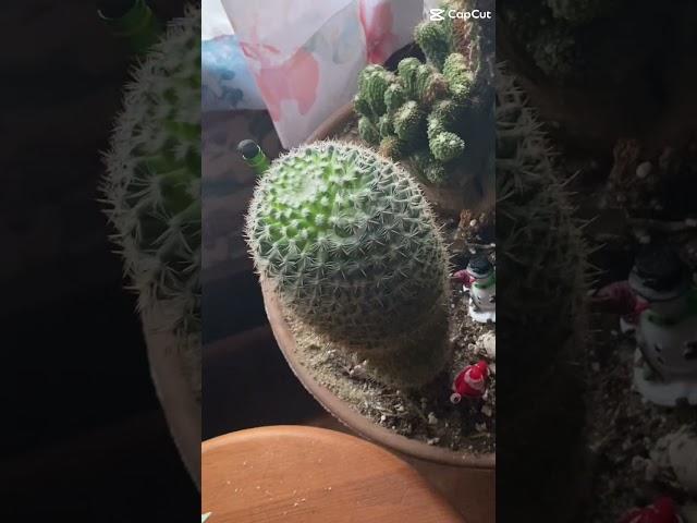 Pt 1