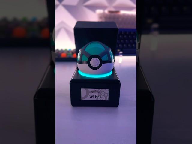 The Pokémon Net Ball has arrived!