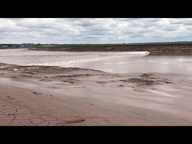 Tidal bore at Moncton, New Brunswick, Canada