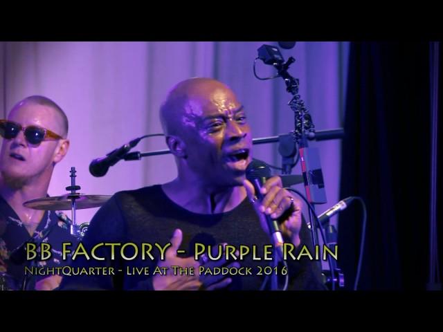 BB Factory LIVE: Purple Rain (Prince Tribute)