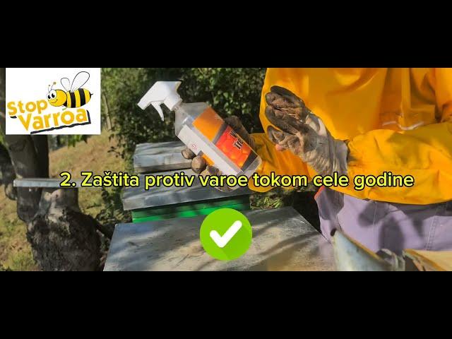 Kako zaustaviti varou u potpunosti sa Stopvarroa - How to eliminate all varroa mites with STOPVARROA